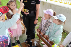 Policajný deň